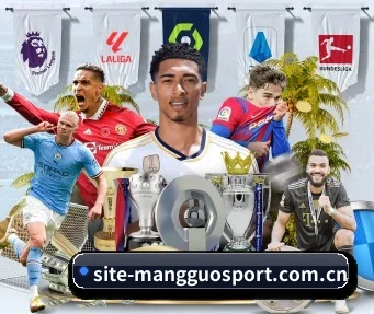 芒果体育官网 APP - MangoSport